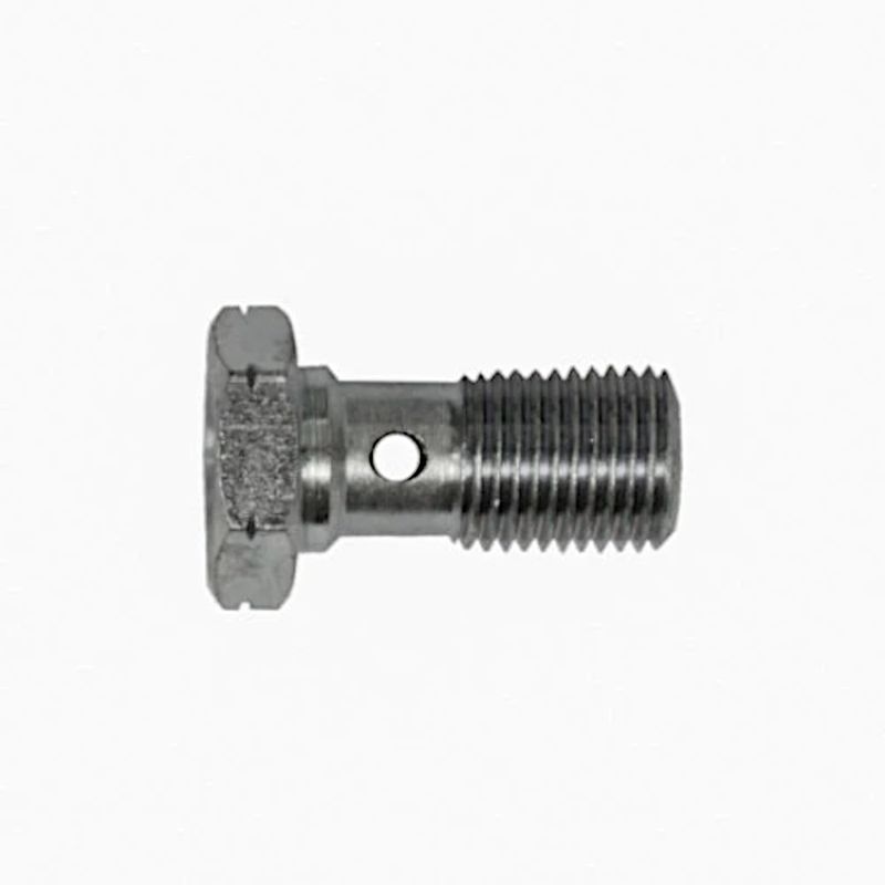 Banjo bolt M10 x 1.00. (Alternativ G992-03-31P). BBS2-31